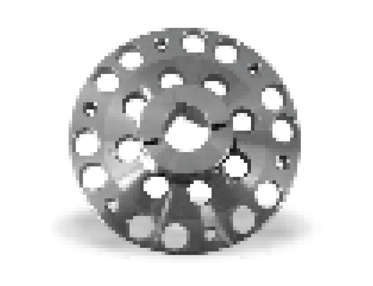 02-02
